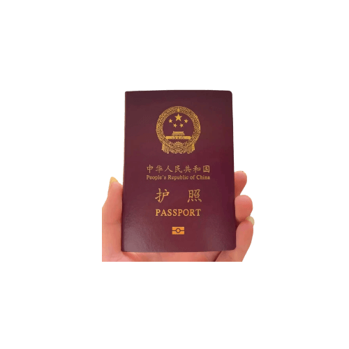 个人护照查询